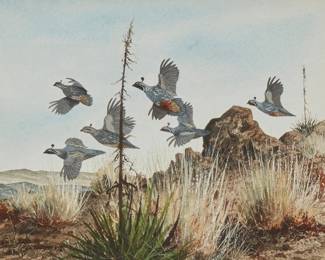 149
David Hagerbaumer
(1921-2014)
A covey of quail in flight
Watercolor on paper
Signed lower left: David Hagerbaumer
Sight: 7" H x 9" W
Estimate: $600 - $900