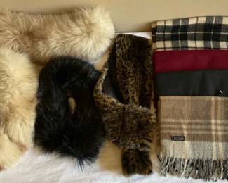Collars and Cashmere