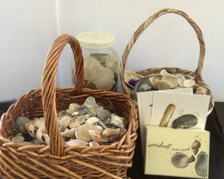 Mystery Lot Seashells and More