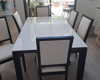 Design table with 6 chairs