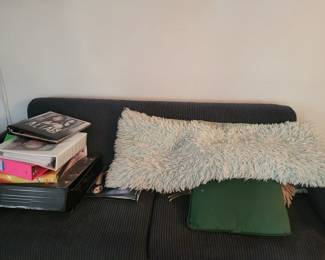 Pullout bed and couch