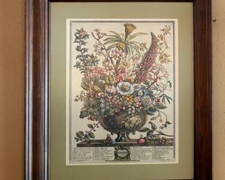 Framed Botanical Prints