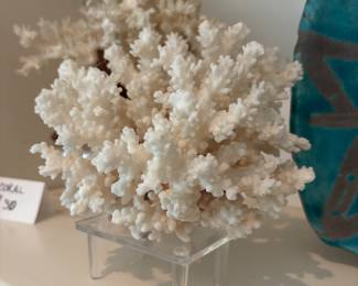 Coral