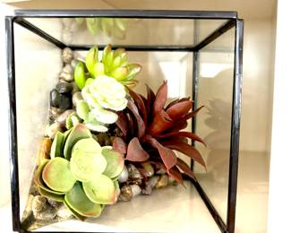 Succulent