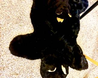 Small bear rug