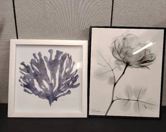 Framed Botanical Wall Art Lot Coral Flower Prints