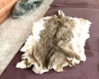 Deer Hide