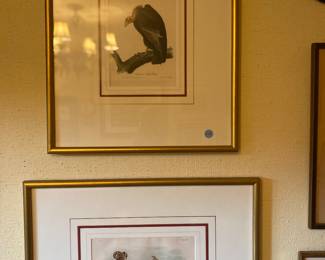 Antique Audubon prints 