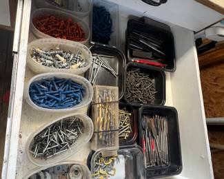 Very organized bolts, washers, nails, screws and tools.