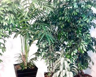 Faux Ficus Tree