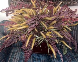Dried Floral Arrangements 