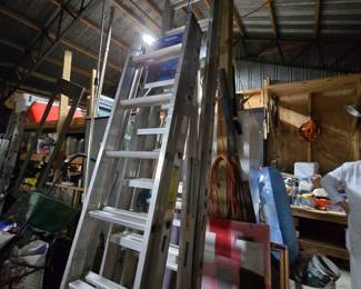 Extension and Folding Ladders