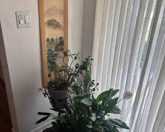 Plants