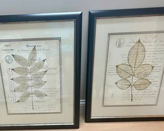 27”w x 31”h framed leaf prints  $45 each