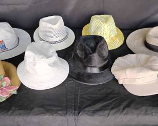 CT390Womens hats