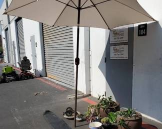 CT336Outdoor Patio Plants And Umbrella