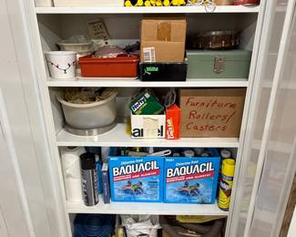 pool chemicals, Baquacil, utility cabinet, household cleaners, storage cabinet, garage supplies, home maintenance.