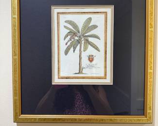 Botanical Art