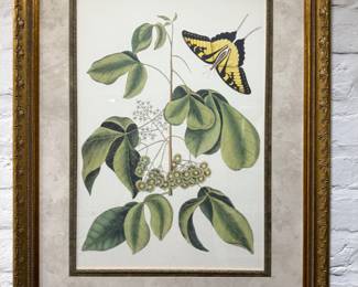 Classy Art Green  By Marc Catesby Print in Gilt Frame Double Matted