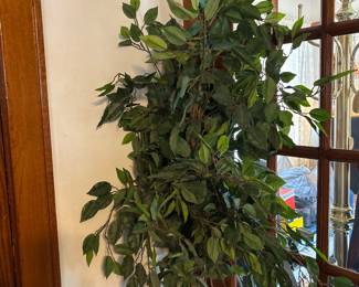 Faux Ficus tree 75”
No Pot