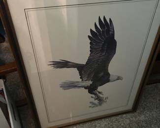 " American Bald Eagle" by Hugh Hirtle