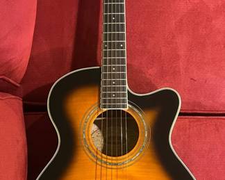 010 053 Washburn EA15 ATB