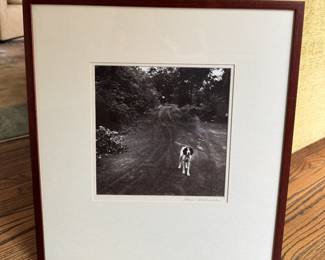 Vintage photos galore.