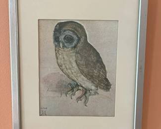 6097 Albrecht Durer The Little Owl Art Printmin