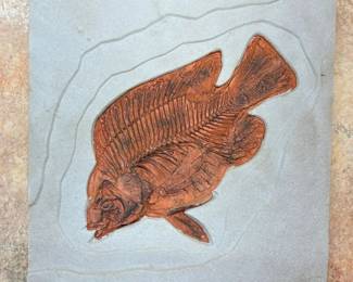 6097 Faux Fossilized Priscacara Wall Artmin