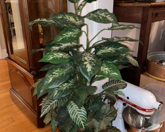 Large Houseplant W/ Barrel Pot
