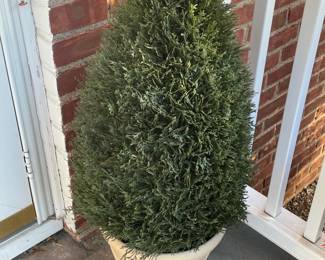 Faux Tree In Pot (2 Available)