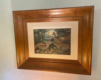 Framed Bird Art