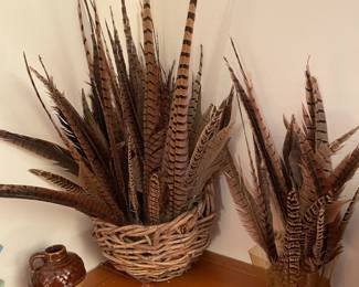 Pheasant Feathers