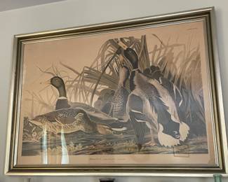 "Mallard Duck" Drawn By J.J. Audubon (Engraved, Printed, & Coloured By R.Havell 1836)