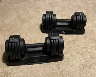 Flybird 55lb adjustable dumbbells