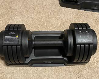 Flybird 55lb adjustable dumbbells 