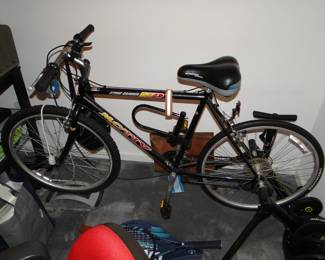 Motive Stn Grinder HD Bicycle with Specialized Tires