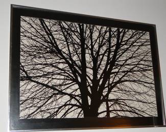 Tree Art