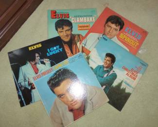 Sample of LP Record Albums See Next Picture