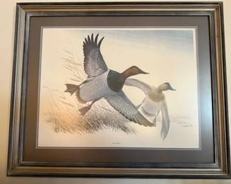 Professionally framed lithograph print by Richard Sloan entitled "Canvasback," with Certificate of Authenticity.