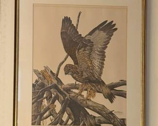 Professionally framed print by Louis Raymer, entitled "Rough Legged Hawk."