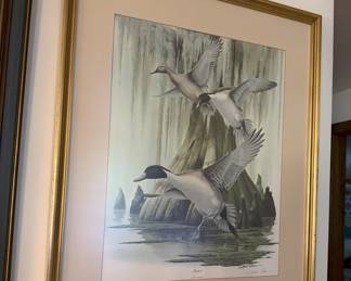 Professionally Framed Print entitled "Pintail" and signed by Richard Sloan. Includes numbered Certificate of Authenticity.