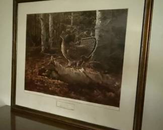 Professionally framed print entitled Sunlit Glade--Ruffled Grouse, by Owen J. Gromme.