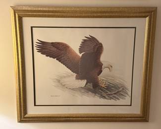 Professionally framed print by Michael Bartlett of a Bald Eagle.