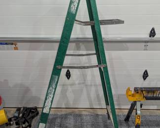 Garage Ladder