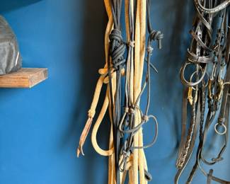 Parelli Ropes and Halters
