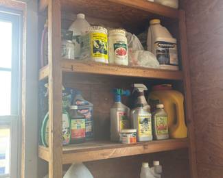 Back shed