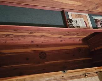 Extra picture of chest