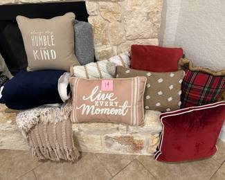 Lot 14 lot of pillows and throw blankets $25