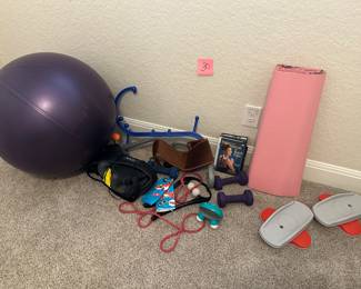 Lot 30   Exercise equipment lot $15